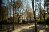 My Gallery (81/156)