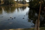 My Gallery (148/156)