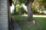 My Gallery (20/87)