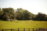 My Gallery (34/87)