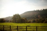 My Gallery (37/87)