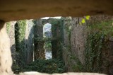 My Gallery (62/87)