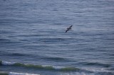 My Gallery (33/84)