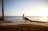 My Gallery (39/84)