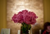 My Gallery (53/84)