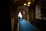 My Gallery (41/171)