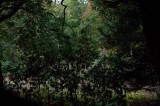 My Gallery (76/171)