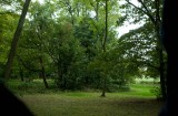 My Gallery (77/171)