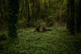 My Gallery (3/112)
