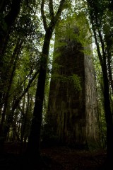 My Gallery (6/112)