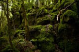 My Gallery (7/112)
