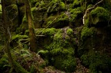 My Gallery (8/112)