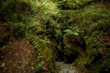 My Gallery (12/112)