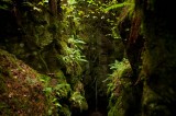 My Gallery (14/112)