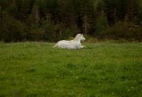 My Gallery (15/112)