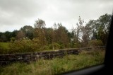 My Gallery (25/112)