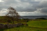 My Gallery (29/112)