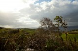 My Gallery (30/112)