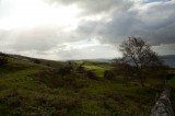 My Gallery (34/112)