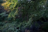 My Gallery (39/112)