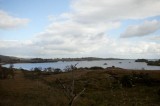 My Gallery (49/112)