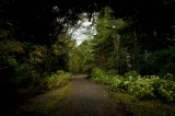 My Gallery (57/112)