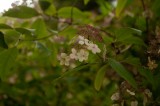 My Gallery (58/112)