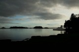 My Gallery (61/112)