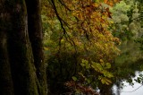 My Gallery (73/112)