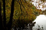 My Gallery (74/112)