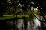 My Gallery (75/112)