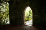 My Gallery (78/112)