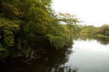 My Gallery (82/112)