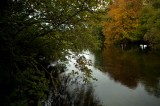 My Gallery (83/112)