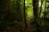 My Gallery (87/112)