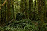 My Gallery (90/112)