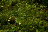 My Gallery (108/112)