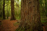 My Gallery (112/112)