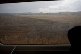 My Gallery (18/83)