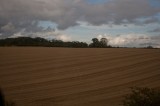 My Gallery (27/83)