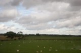 My Gallery (29/83)