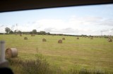 My Gallery (30/83)
