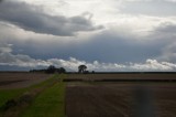 My Gallery (41/83)