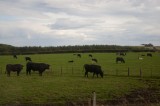 My Gallery (42/83)