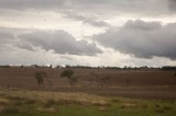My Gallery (47/83)