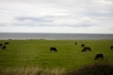 My Gallery (50/83)