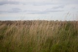 My Gallery (58/83)