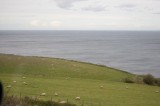 My Gallery (60/83)