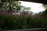 My Gallery (65/83)