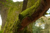 My Gallery (13/41)